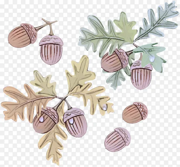 Ҷ�� �� ֲ��-������