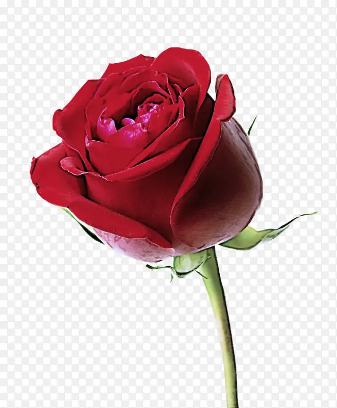 ���� ��԰õ�� ����ֲ��-������