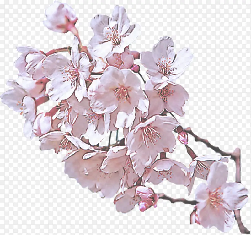 �� ӣ�� ����-������