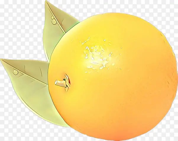 ��ͨ ��ɫ ��ɫ-������