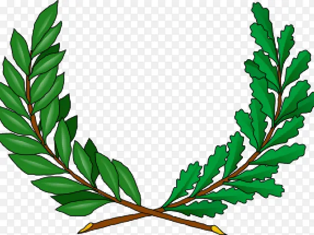 Ҷ ֲ�� �ݱ�ֲ��-������