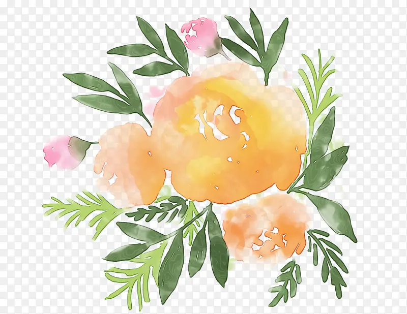 ˮ�� ���� ʪī-������