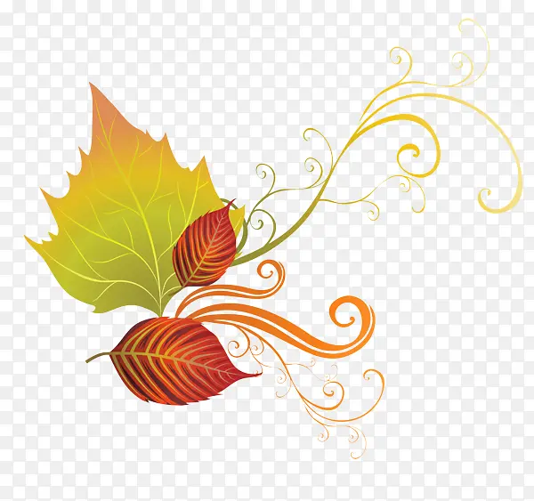 Ҷ�� ��ɫ ƽ�����-������