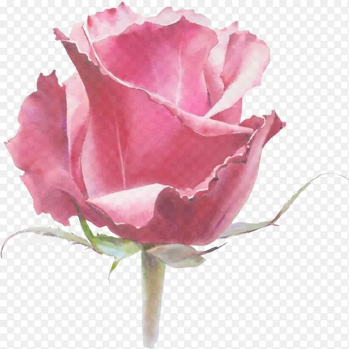 ���� ����ֲ�� ����-������