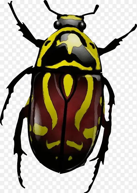 ˮ�ʻ� ���� ʪīˮ-������