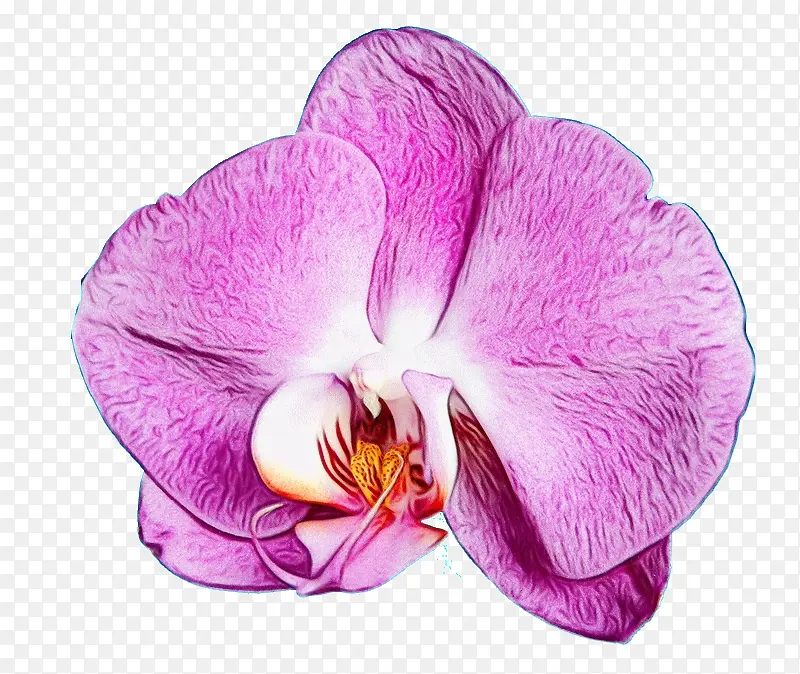 ˮ�� ���� ʪī-������