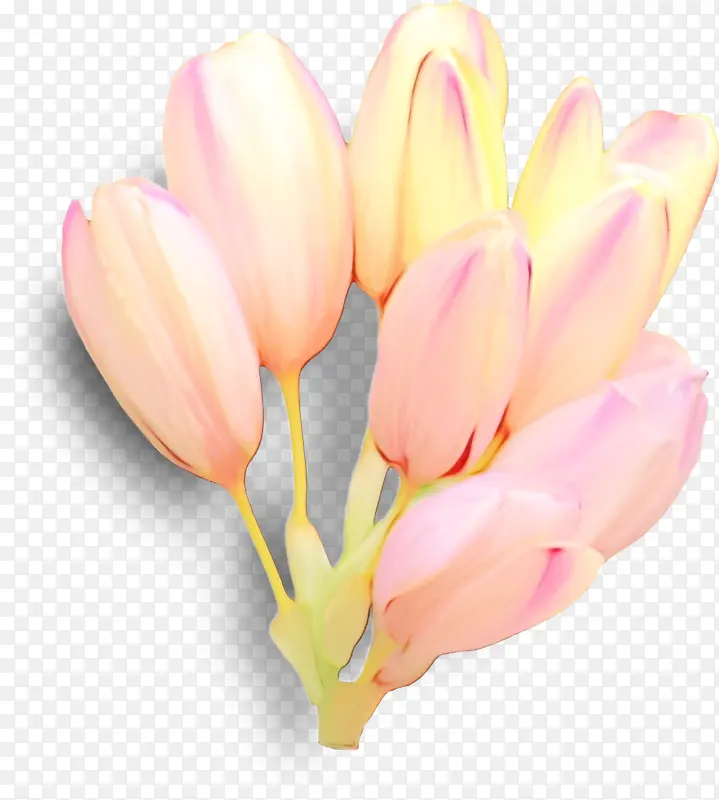 ˮ�� ���� ʪī-������