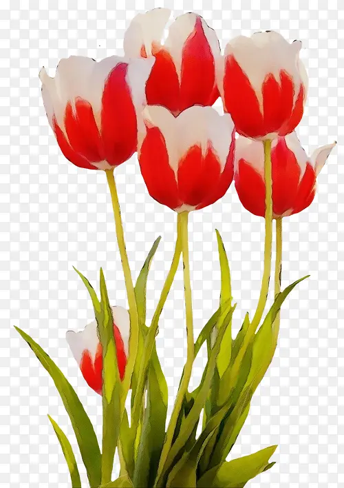 ˮ�� ���� ʪī-������