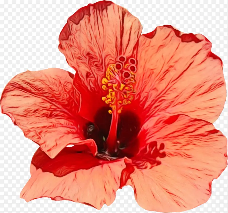 ˮ�� ���� ʪī-������