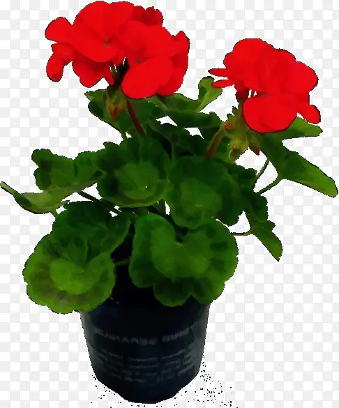 ˮ�ʻ� ���� ʪī-������