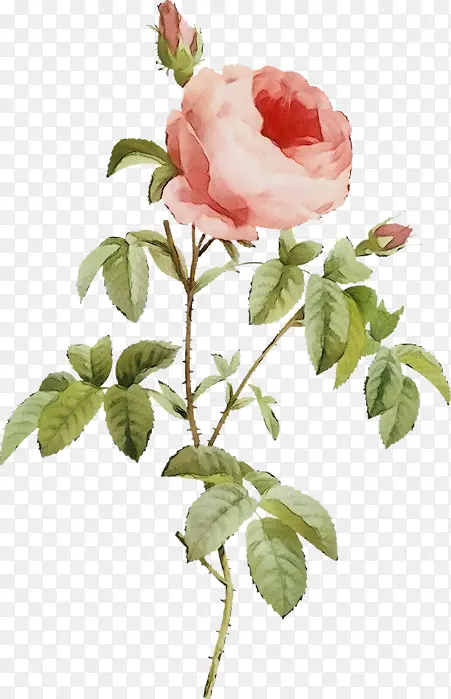 ˮ�� ���� ʪī-������