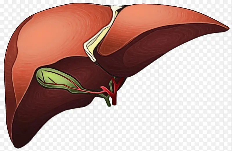 ˮ�ʻ� ���� ʪī-������