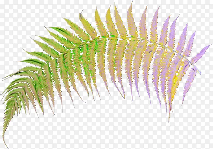 ˮ�ʻ� ���� ʪī-������