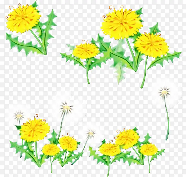 ˮ�ʻ� ���� ʪī-������