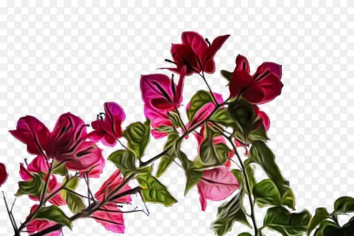 ˮ�� ���� ʪī-������