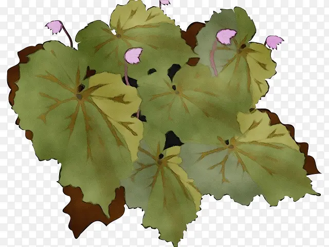 ˮ�ʻ� ���� ʪī-������