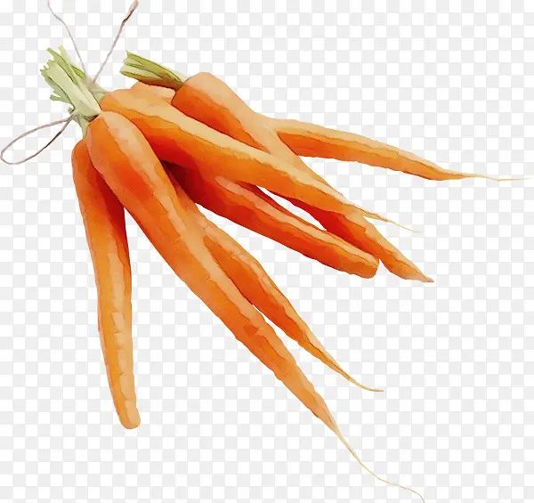 ˮ�ʻ� ���� ʪīˮ-������