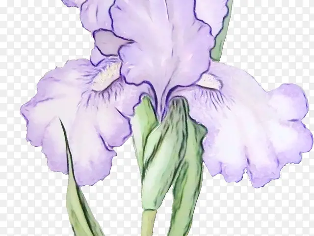 ˮ�� ���� ʪī-������