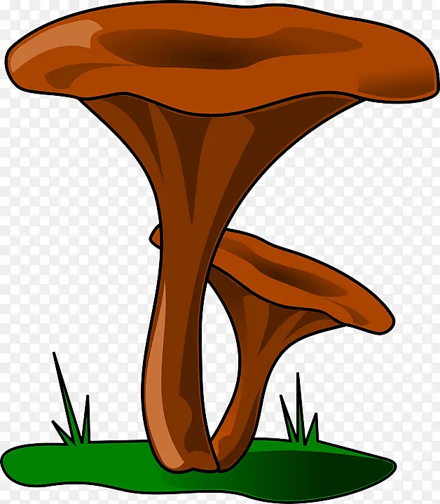 �� ���� Ģ��-������