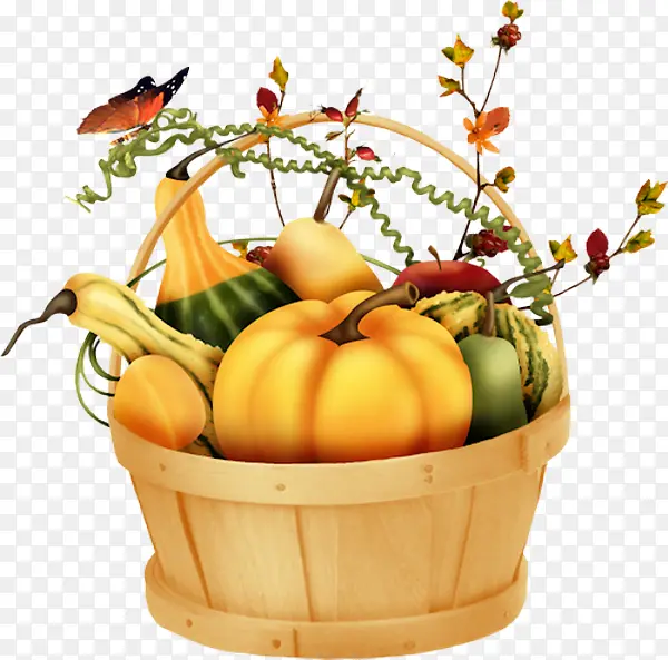 ��ȻʳƷ ��« �߲�-������