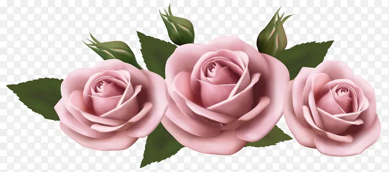 �ɹ���Ʒ�� õ�� ��԰õ��-������