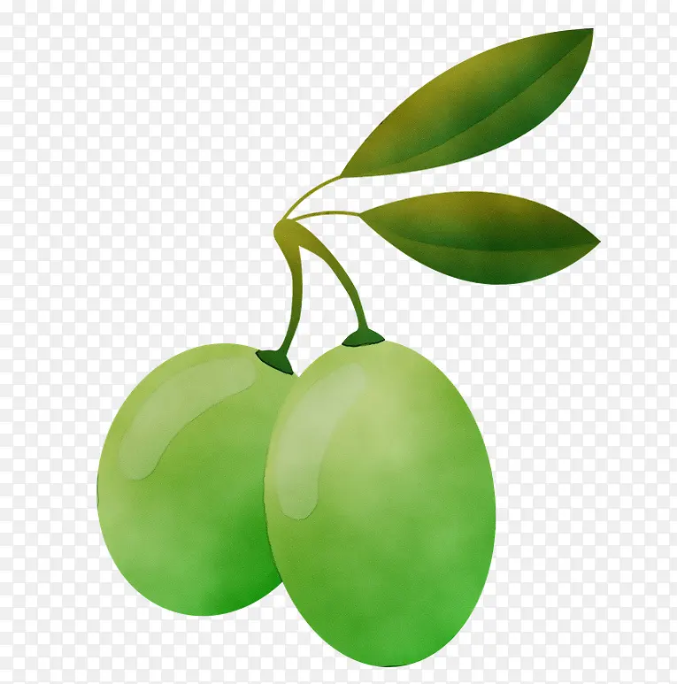 ˮ�ʻ� ���� ʪī-������