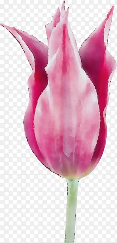 ˮ�� ���� ʪī-������