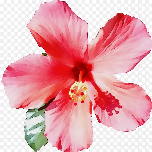 ˮ�� ���� ʪī-������