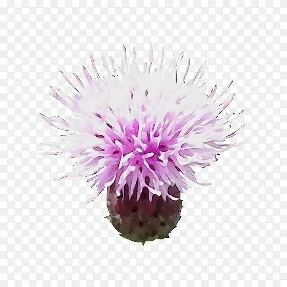 ˮ�� ���� ʪī-������