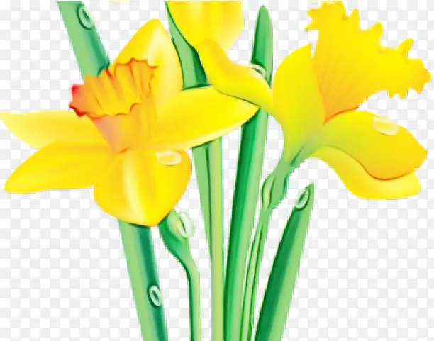 ˮ�� ���� ʪī-������