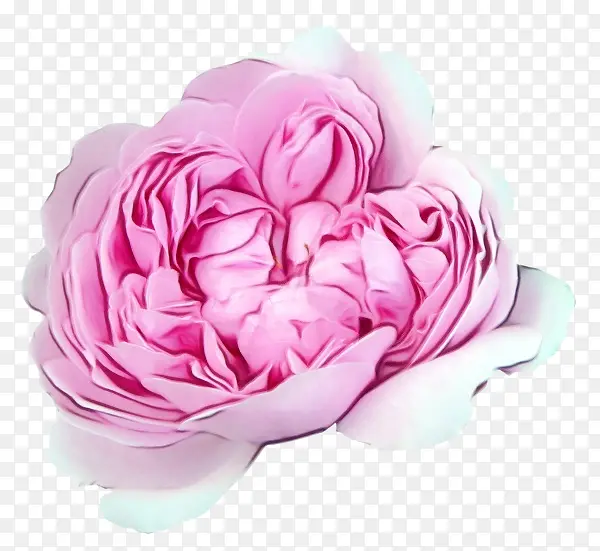 ˮ�� ���� ʪī-������