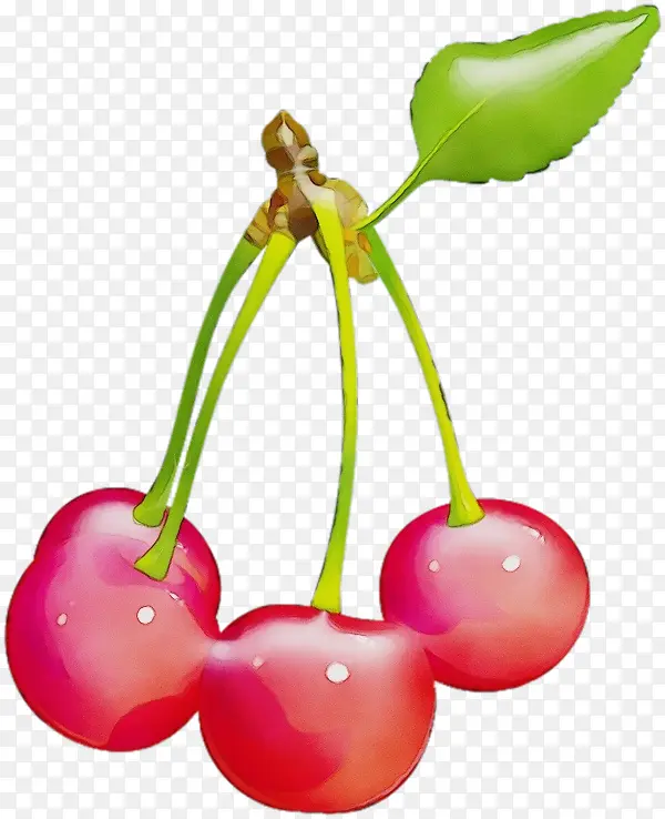 ˮ�ʻ� ���� ʪī-������