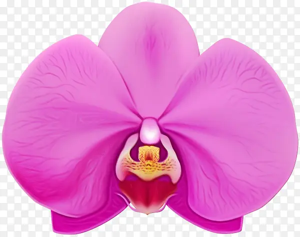 ˮ�ʻ� ���� ʪī-������