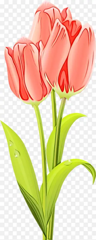 ˮ�� ���� ʪī-������