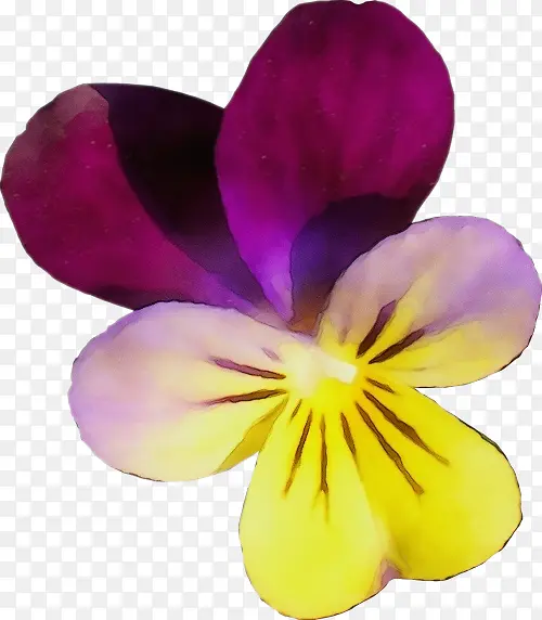 ˮ�ʻ� ���� ʪī-������