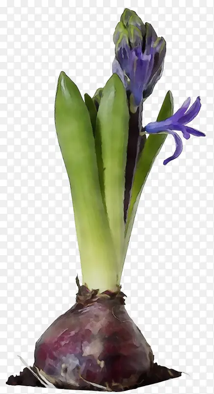 ˮ�ʻ� ���� ʪī-������