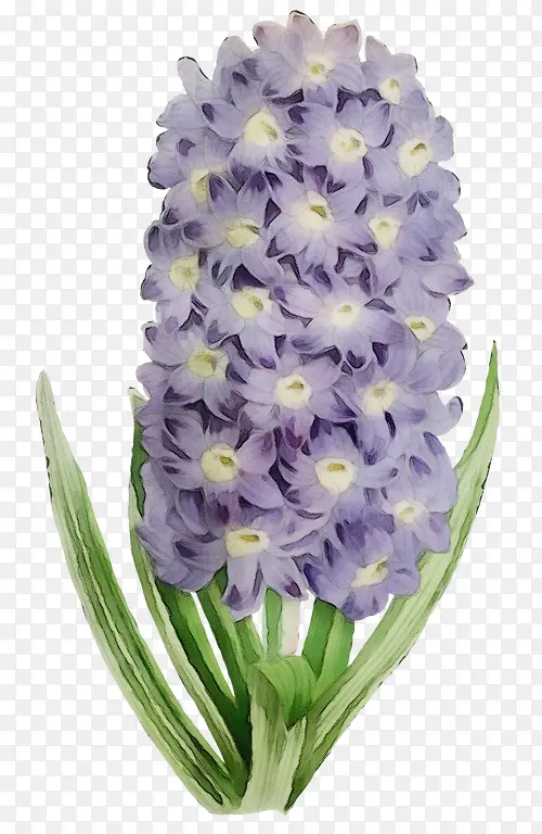 ˮ�� ���� ʪī-������