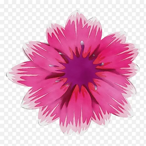 ˮ�� ���� ʪī-������