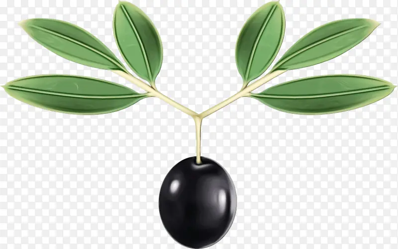 ˮ�� ���� ʪī-������