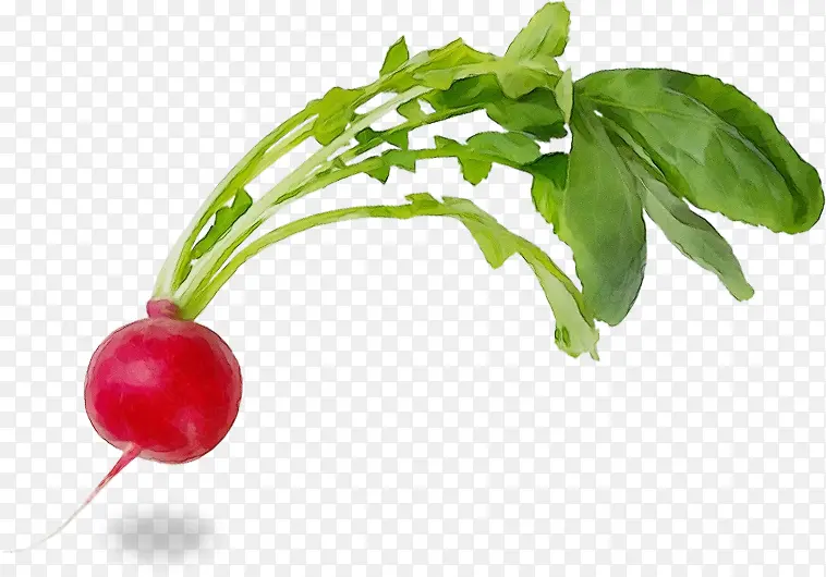 ˮ�� ���� ʪī-������