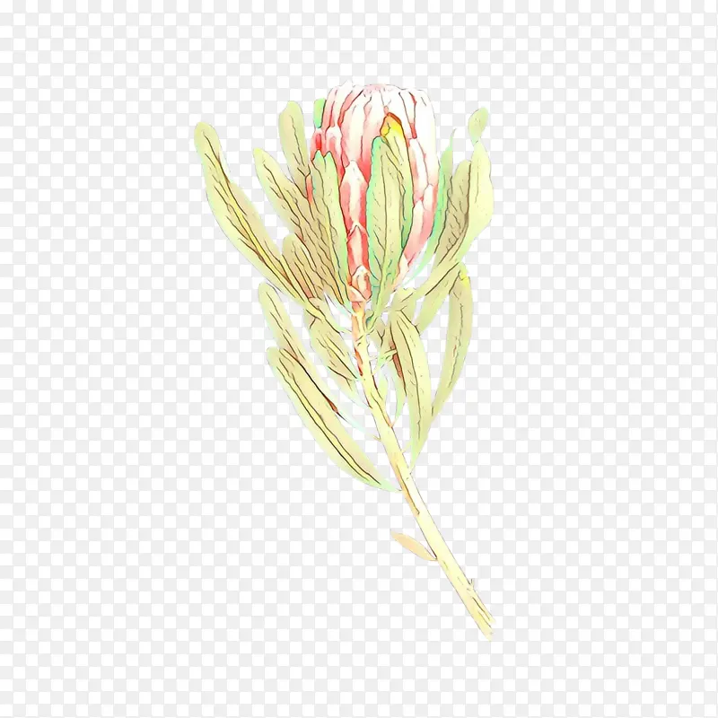 ��ͨ �� ֲ��-������