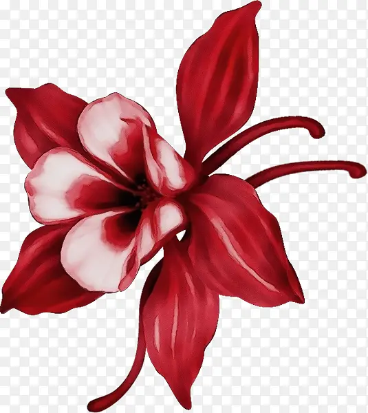 ˮ�� ���� ʪī-������