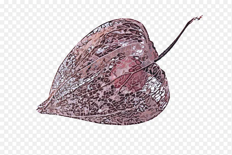 ʱ������-������