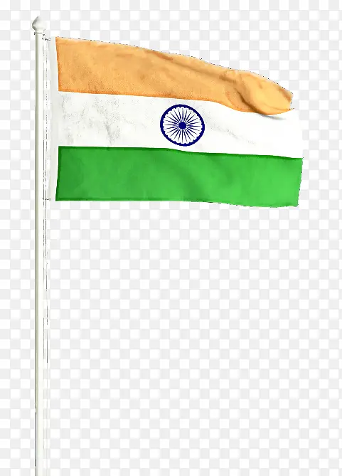 ��ɫ ���� ������-������