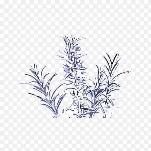 ֲ�� Ҷ ��-������