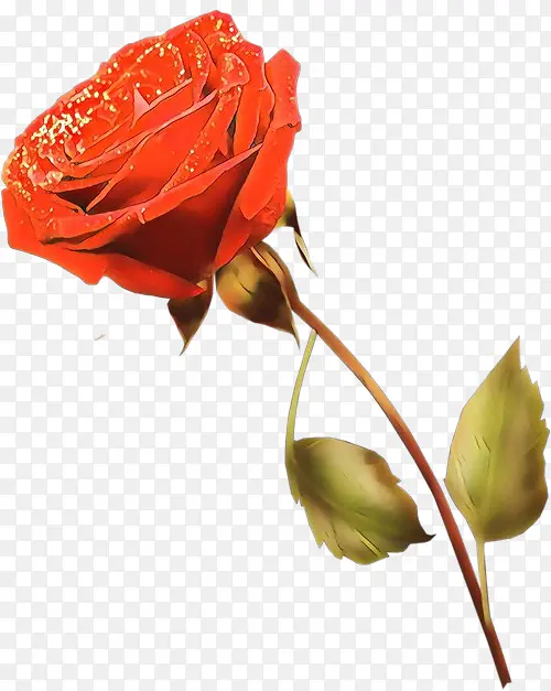 ��ͨ ���� ��԰õ��-������