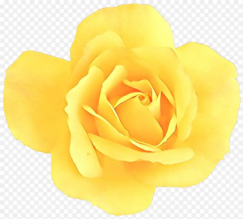 ��ͨ ��ɫ ����-������