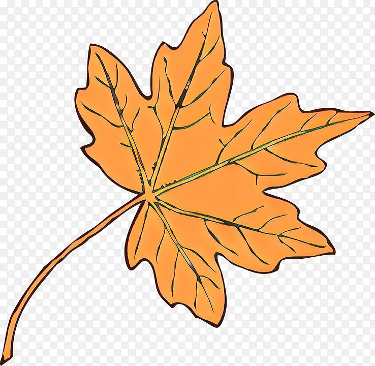 ��ͨ Ҷ�� ��-������