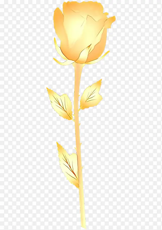 ��ͨ ��ɫ ����-������