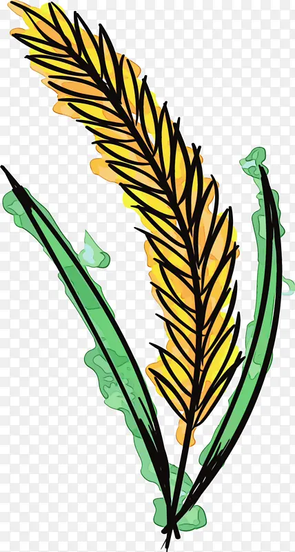 ˮ�ʻ� ���� ʪī-������